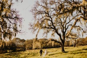 Napa Valley Elopement Photographer